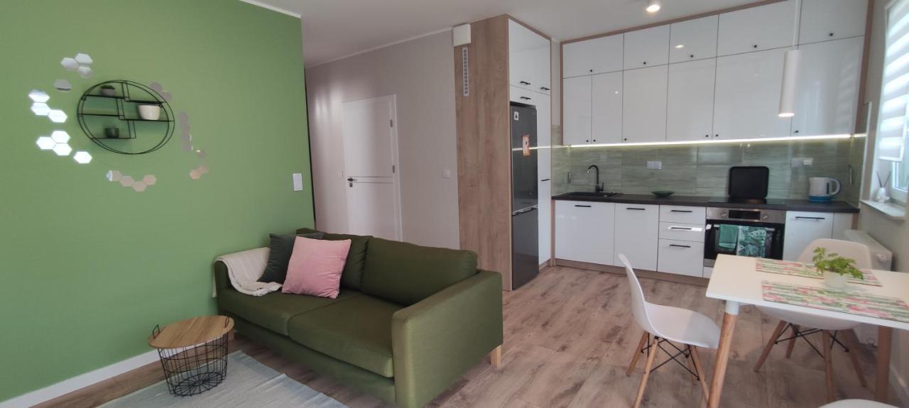 Apartament Zielone Zamienie Esterno foto